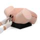 3B Scientific 1021592 SKINlike™ Gynecologic Skills Trainer - Light Skin Tone, Speculum Exam Open Blades (Lab coat, Speculum, and Gloves not included)