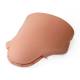 3B Scientific 1021596 Replacement Abdominal Cover for SKINlike™ Gynecologic Skills Trainer - Light Skin Tone