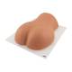 3B Scientific 1021898 Image Guided Lumbar Spinal Injection Trainer