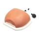 3B Scientific 1021899 Image Guided Thoracic Spinal Injection Trainer, Back View