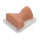 3B Scientific 1021900 Image Guided Cervical Spine Injection Trainer