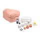 3B Scientific 1022519 SKINlikeâ„¢ Bowel Care and Enema Trainer - Light Skin Tone