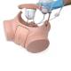 3B Scientific 1023010 Catheterization Simulator PRO Set - Female & Male