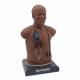 3B Scientific 1023422 SAM Basic® - Affordable Adult Auscultation Manikin with SimScope® Training Stethoscope and Laptop, Dark Skin Tone - Manikin with SimScope
