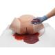 3B Scientific 1023727 Postpartum Hemorrhage Trainer PRO with Simulated Placenta and Blood Clots