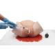 3B Scientific 1023727 Postpartum Hemorrhage Trainer PRO, Deployment of a Uterine Balloon Tamponade (Uterine Balloon Tamponade Device not included)