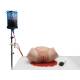 3B Scientific 1023727 Postpartum Hemorrhage Trainer PRO, Complete Setup