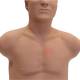 3B Scientific 1024553 SAM4 Adult Auscultation Manikin Light Skin Tone - With Auscultation Point