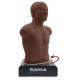 3B Scientific 1025087 SAM4 Adult Auscultation Manikin Dark Skin Tone - 360° Rotating Base facilitates demonstration and examination for multiple users.