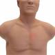 3B Scientific 1025098 SAM4 Plus Auscultation Manikin, Light Skin Tone - Front View with Auscultation Point