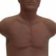 3B Scientific 1025099 SAM4 Plus Auscultation Manikin, Dark Skin Tone - Front View with Auscultation Point