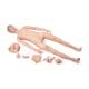 3B Scientific 1025295 Patient Care Manikin PRO Model P10N - Light Skin Tone