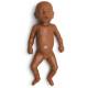 Simulaids Newborn Baby for Forceps/OB Manikin - 28 in. x 8 in. x 8 in. - Dark