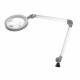 Waldmann 113525000-00698859 Waldmann MLD LED Magnifier Light with 31" Double Arm, Table Clamp Mounted - Side View