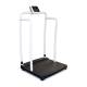 250-10-2 Series Rice Lake Bariatric Scale with Integrated Handrail - 1000 lbs Capacity, Right Angle View