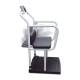250-10-4 Series Rice Lake Bariatric Scale with Integrated Seat and Handrail, Side View showing Seat Unfolded