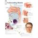 Understanding Rhinitis Chart