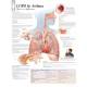 COPD & Asthma Chart