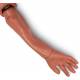 Simulaids 55-lb. Rescue Randy Lower Right Arm/Hand