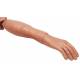 Simulaids 55-lb. Rescue Randy Lower Right Arm/Hand