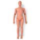 Simulaids Patient Care Manikin - Light