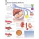 Understanding Diabetes Chart