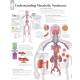 Understanding Metabolic Syndrome Chart