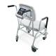 Rice Lake 166644 Digital Chair Scale, Back View