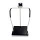 Rice Lake 170139 Bariatric Scale with Integrated Handrail - 800 lbs Capacity