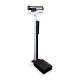 Rice Lake 195264 Mechanical Physician Scale with Poise Weight Beam