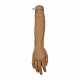 Training Bridge 200-1000 Advanced IV Arm, Male - Light Skin Tone
