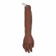 Training Bridge 200-1010 Advanced IV Arm, Male - Medium Skin Tone