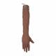 Training Bridge 200-1510 Advanced IV Arm, Geriatric - Medium Skin Tone
