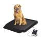 Rice Lake 204396 Single-Ramp Veterinary Platform Scale (Animal shown for demonstration purposes only and is not included)