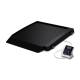 Rice Lake 204396 Single-Ramp Veterinary Platform Scale