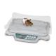 Rice Lake 204398 Dual-Range Digital Veterinary Scale (Animal shown for demonstration purposes only and is not included)