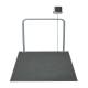 Rice Lake 204402 In-Floor Veterinary Scale, Front View