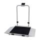 Rice Lake 204403 Dual-Ramp Veterinary Scale with Metal Platform and Integrated Handrail