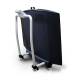 Rice Lake 204404 Dual-Ramp Veterinary Scale with Integrated Handrail, Folded