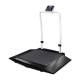 Rice Lake 204404 Dual-Ramp Veterinary Scale with Integrated Handrail, Left Angle View (Mat is not included)