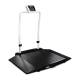 Rice Lake 204404 Dual-Ramp Veterinary Scale with Integrated Handrail, Right Angle View