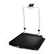 Rice Lake 204405 Single-Ramp Veterinary Scale with Integrated Handrail