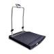 Rice Lake 204405 Single-Ramp Veterinary Scale with Integrated Handrail, With Mat (The mat is not included)