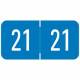 2021 Year Labels - VRE / GBS Compatible - Size 3/4" H x 1 1/2" W