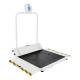 Health o Meter 2610 Series Digital Wheelchair Dual Ramp Scale with Large Platform - Right Angle View