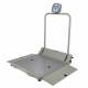 2610 Series Health o Meter Digital Wheelchair Dual Ramp Scale with Large Platform - Right Ramp