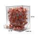 OmniMed 304040 Clear PETG Wall Mounted PPE Bulk Dispenser with Easy Tray Access - with Dimensions (The Earplugs are Not Included)