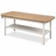 Clinton Model 3200 Flat Top Alpha-S Series Straight Line Treatment Table with Full Shelf