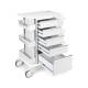 OmniMed 351003 Phlebotomy Cart with 5 Drawers and Key Lock, Left Side View - with Drawers Open