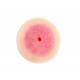 Life/form Moulage Wound - Ulcer - Stage 1 Simulator